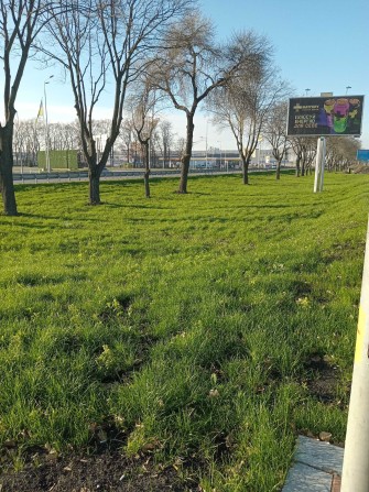Будинок, вагон (сто, база-стоянка вантажівок, склад) 12сот.+12 - фото 1