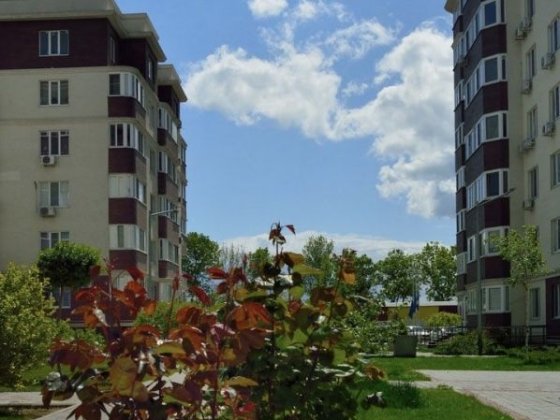 Сдам уютную студию в ЖК «Золотая Эра», Одесса / Крыжанов Крыжановка