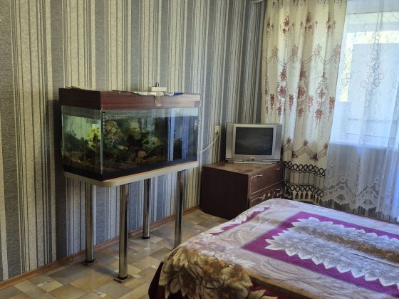 Здам однокімнатну квартиру в оренду , Сумы