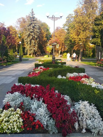 Центр Продаж малосімейки по вул Університетська - фото 1