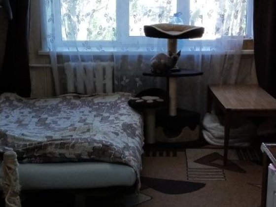 Продам комнату в общежитии Запорожье