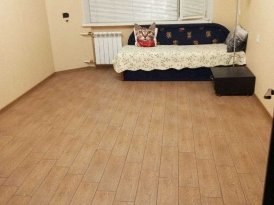 Сдаётся квартира от хозяйки. Три раздельные комнаты. Запорожье