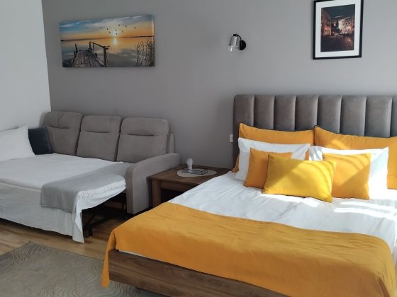 АКТУАЛЬНА !ЦЕНТР,Івана Фр+анка 43. площа50 м.- 750 $. Львов