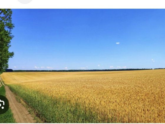 Продам участок 2.5 га Недалеко від Берегово