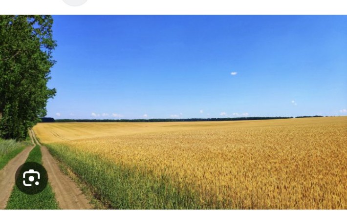 Продам участок 2.5 га Недалеко від Берегово - фото 1