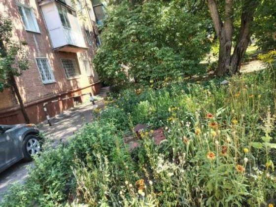 Продам погреб Александрия Александрия