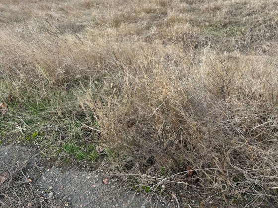 Продается участок по ул. Парковая Білгород-Дністровський
