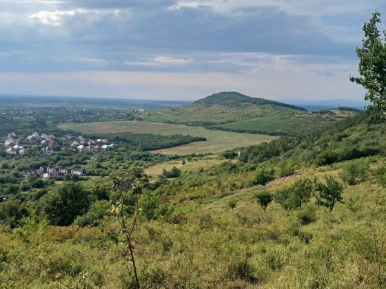 Дачна ділянка поруч з термальними басейнами в м. Берегове