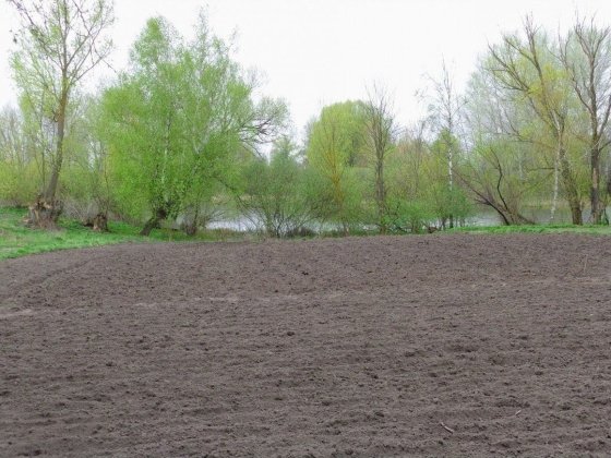 Продам земельну ділянку у місті Бобровиця