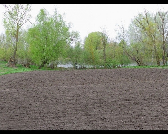 Продам земельну ділянку у місті Бобровиця - фото 1