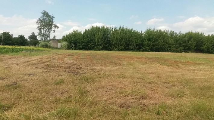 Земельна ділянка під будівництво, Бобровиця, участок для строительства - фото 1