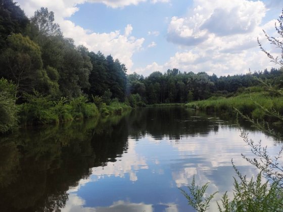 Боярка,ділянка 10 сот.ЗАБУДОВА,в ЛІСІ Боярка