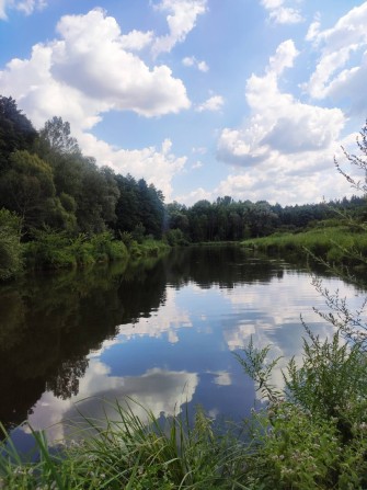 Боярка,ділянка 10 сот.ЗАБУДОВА,в ЛІСІ - фото 1