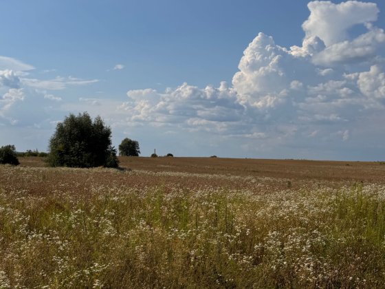 Продаж земельної ділянки Осг 92 сотки,  Боярка Боярка