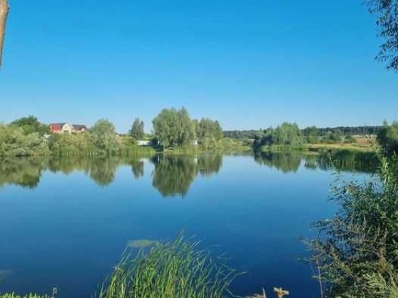Продам ділянку Кожухіака 15 сот Васильков