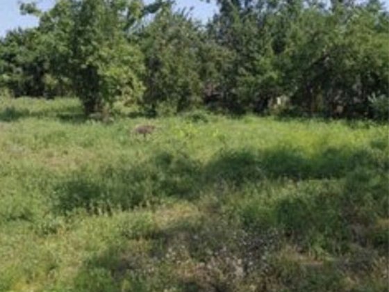 Дачный участок в Автомобилист-2 Обуховка 6 соток Кам'янське