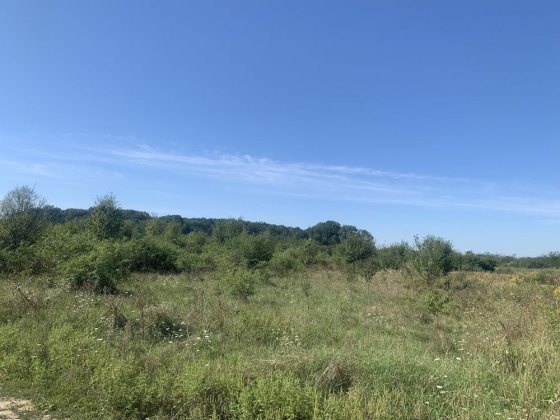 Земельна ділянка для будівництва Виноградів