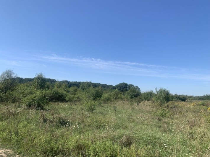 Земельна ділянка для будівництва - фото 1