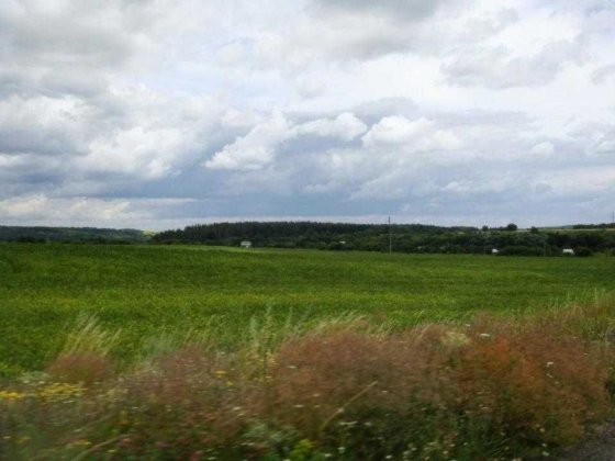 Ділянка 10 соток під будівництво в м. Васильків (пров. О. Кобилянської) Васильків