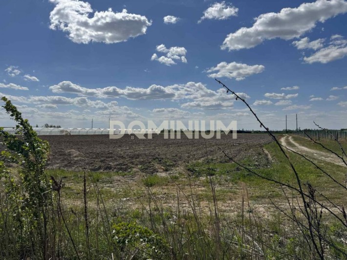 Земельна ділянка 2 га у Виноградові біля центральної дороги - фото 1