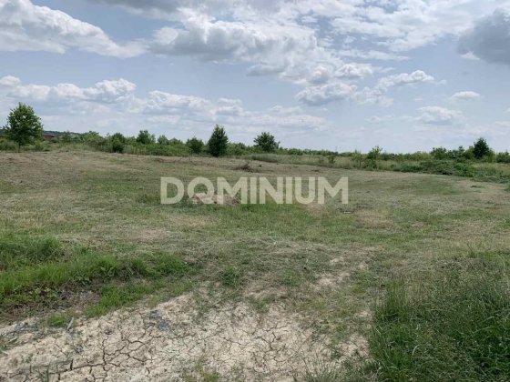 Продаж земельної ділянки м. Виноградів вул. Полунична 7 Виноградів