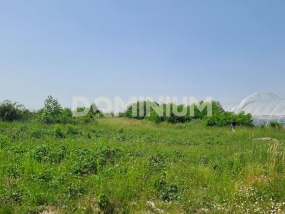 Продаж  земельної ділянки м.Виноградів , вул. Ягідна  9 Виноградів