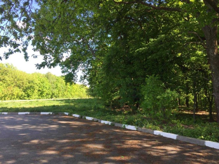 Продається велика земельна ділянка в с.Високий - фото 1