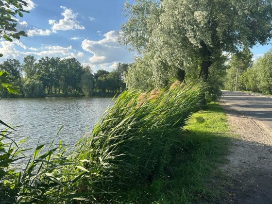 Фасад траси! 58 соток на виїзді з Гостомеля. Перспективна інвестиція Гостомель