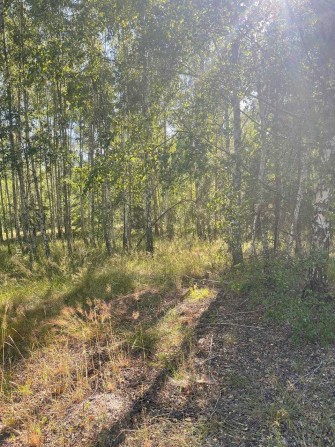 продам ділянку м. Гостомель 12 сот 6000$ - фото 1