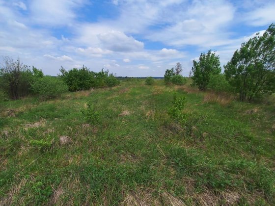 Продам ділянку 0.06 га в Дрогобичі, Наливайка. Дрогобич