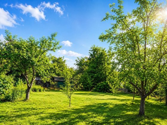 Продаж земельної ділянки у Дрогобичі Дрогобич