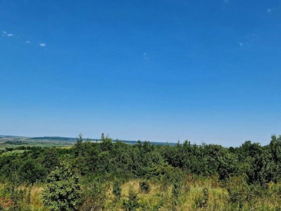 Продаж земельної ділянки 2 га біля перехрестя Героїв Дрогобич