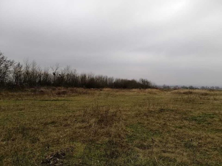 Продам фасадну ділянку над трасою Рівне - Дубно - фото 1