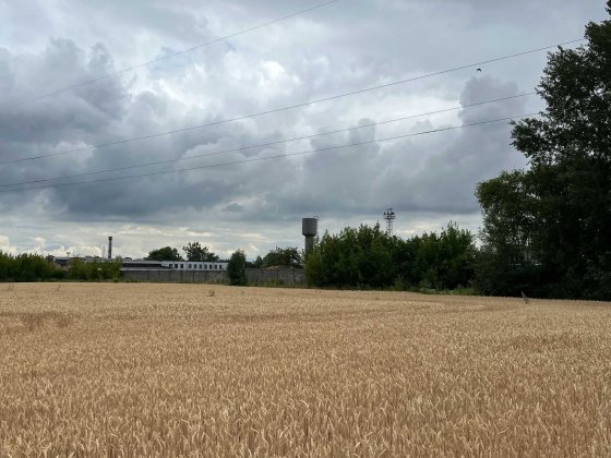 Продаж ділянки під комерцію в Здолбунові Здолбунов