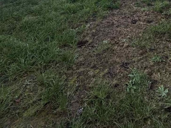 Земельна ділянка Измаил
