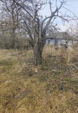 Продам участок в Калиновке Варшиця під забудову - фото 1