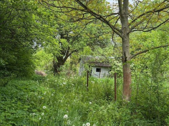 Продаж земельної ділянки Калуш