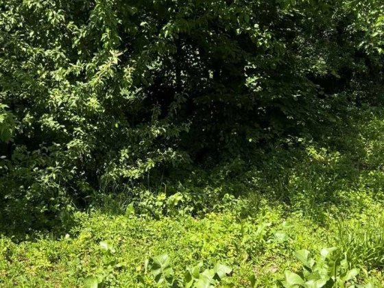 Земельна ділянка в Підгірках Калуш