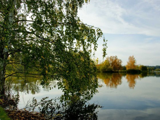 Продаю земельну ділянку Канев