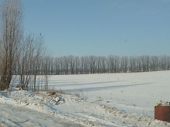 Продаж земельної ділянки 4.7 га під комерцію Канев