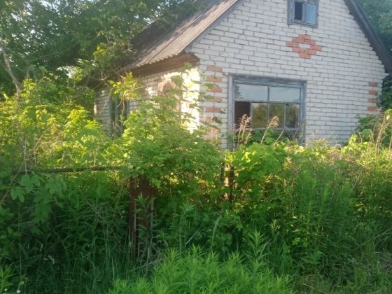 Продам дачну ділянку,Волинська обл, м.ковель.масив Калина Ковель