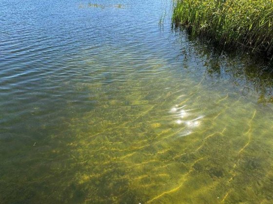 Земельна ділянка біля озера Уховецьк — 5 соток Ковель
