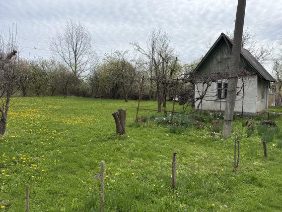 Продам дачну ділянку Коломыя