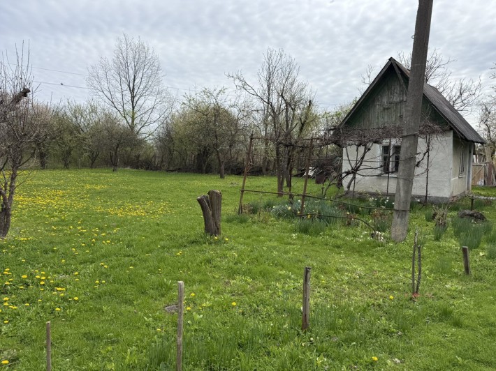 Продам дачну ділянку - фото 1