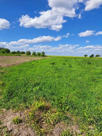 Продам земельну ділянку в селі Чекаси 7 км. від Ковеля - фото 1