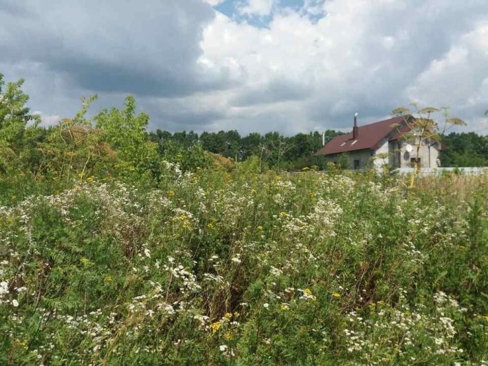 Продаж земельної ділянки - фото 1