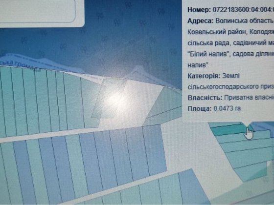 Дачна ділянка з двохповерховим цегляним будинком Ковель