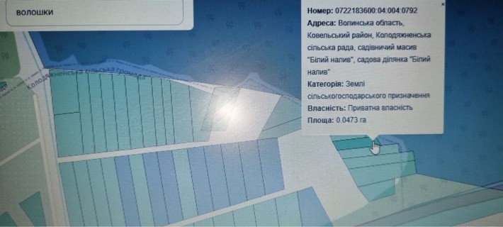 Дачна ділянка з двохповерховим цегляним будинком - фото 1