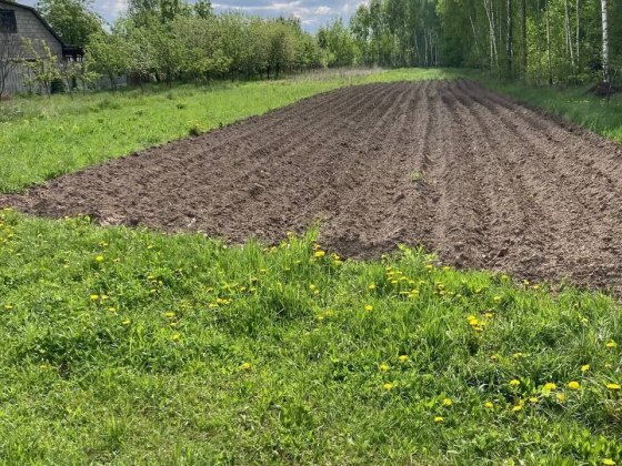 Продам участок 22сот Коростень