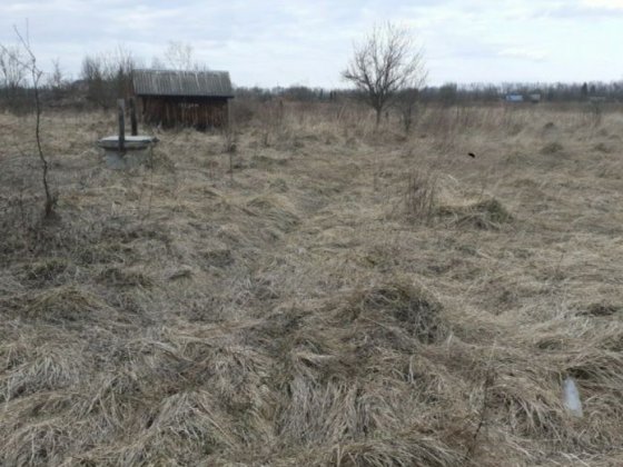 Земельна ділянка Коломыя